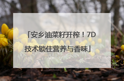 安乡油菜籽开榨！7D技术锁住营养与香味