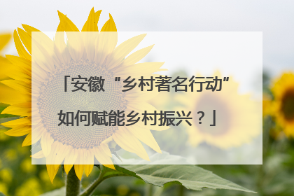 安徽“乡村著名行动”如何赋能乡村振兴？