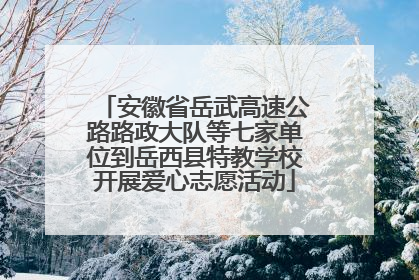 安徽省岳武高速公路路政大队等七家单位到岳西县特教学校开展爱心志愿活动
