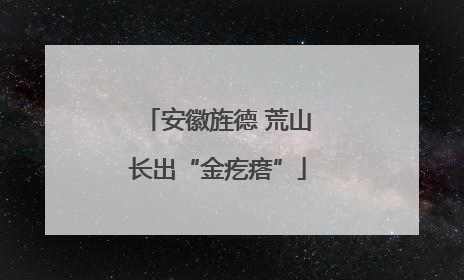 安徽旌德 荒山长出“金疙瘩”