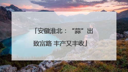 安徽淮北：“蒜”出致富路 丰产又丰收