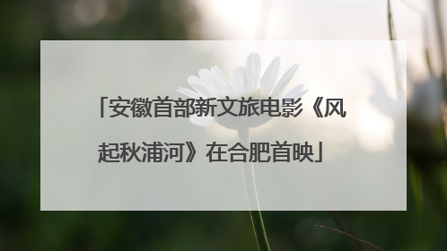 安徽首部新文旅电影《风起秋浦河》在合肥首映