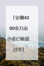 安徽4300余万亩小麦已收获过半