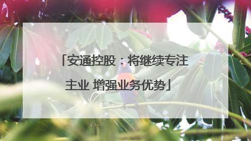 安通控股：将继续专注主业 增强业务优势