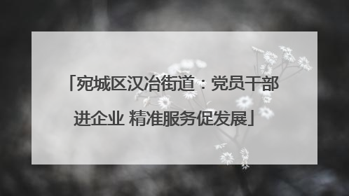 宛城区汉冶街道：党员干部进企业 精准服务促发展