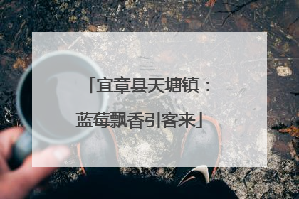 宜章县天塘镇：蓝莓飘香引客来