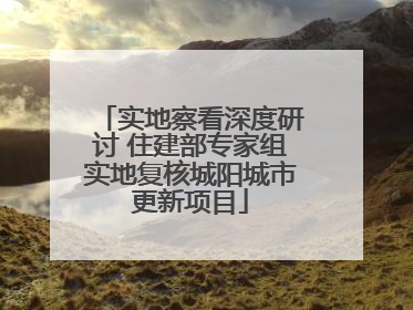 实地察看深度研讨 住建部专家组实地复核城阳城市更新项目