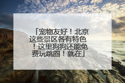 宠物友好！北京这些景区各有特色！这里狗狗还能免费玩跳圈！就在