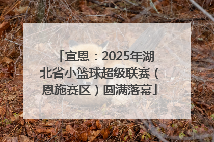 宣恩：2025年湖北省小篮球超级联赛（恩施赛区）圆满落幕