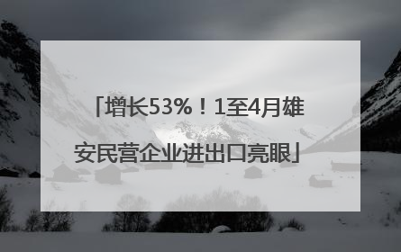 增长53%！1至4月雄安民营企业进出口亮眼