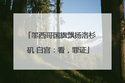 墨西哥国旗飘扬洛杉矶 白宫：看，罪证