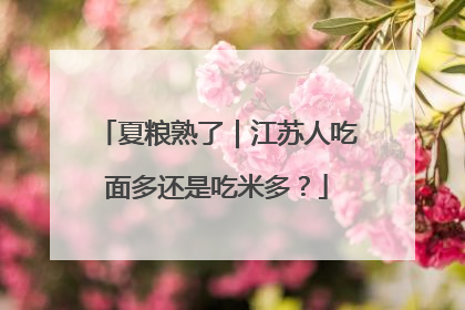 夏粮熟了｜江苏人吃面多还是吃米多？