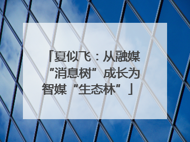 夏似飞：从融媒“消息树”成长为智媒“生态林”