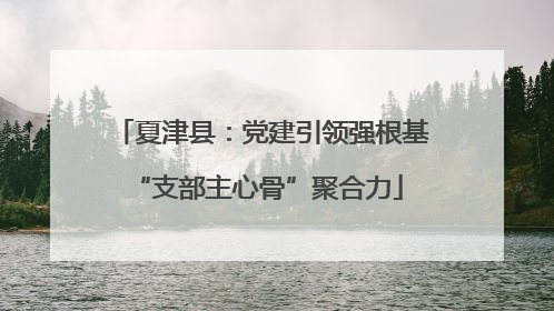 夏津县：党建引领强根基 “支部主心骨”聚合力