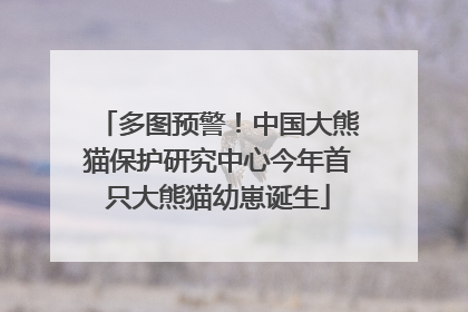 多图预警！中国大熊猫保护研究中心今年首只大熊猫幼崽诞生