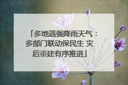 多地遇强降雨天气：多部门联动保民生 灾后重建有序推进
