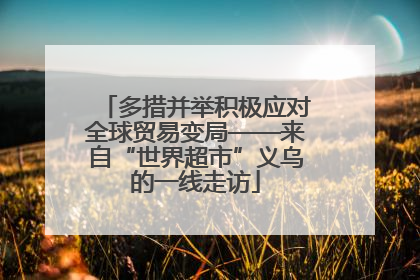 多措并举积极应对全球贸易变局——来自“世界超市”义乌的一线走访
