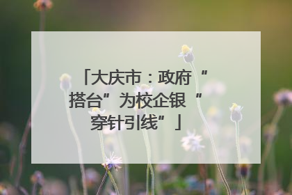 大庆市：政府“搭台”为校企银“穿针引线”