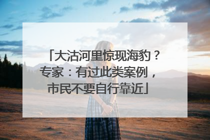 大沽河里惊现海豹？专家：有过此类案例，市民不要自行靠近