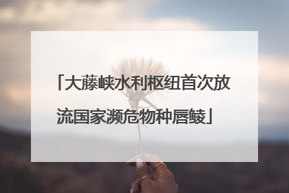 大藤峡水利枢纽首次放流国家濒危物种唇鲮