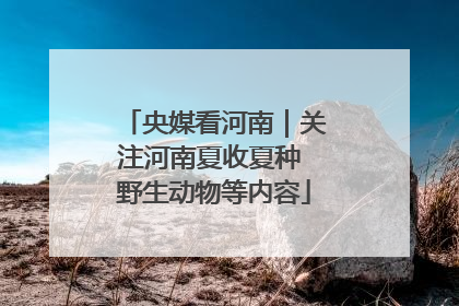 央媒看河南｜关注河南夏收夏种 野生动物等内容