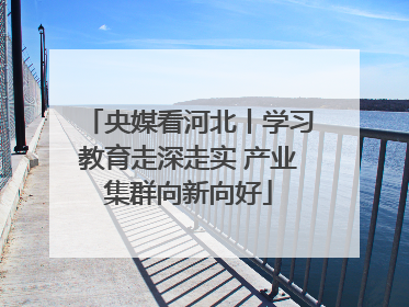 央媒看河北丨学习教育走深走实 产业集群向新向好