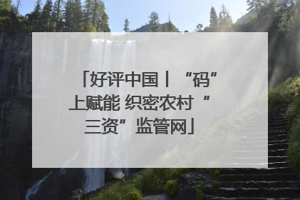 好评中国丨“码”上赋能 织密农村“三资”监管网