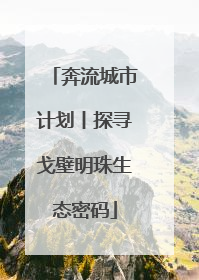 奔流城市计划丨探寻戈壁明珠生态密码