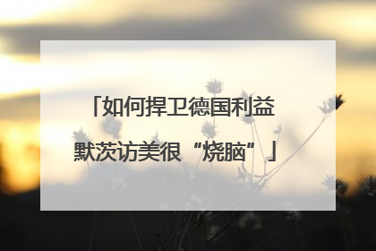 如何捍卫德国利益 默茨访美很“烧脑”