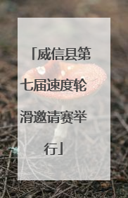 威信县第七届速度轮滑邀请赛举行