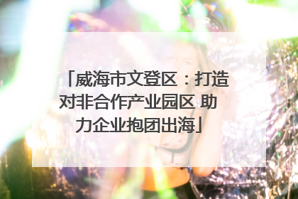 威海市文登区：打造对非合作产业园区 助力企业抱团出海