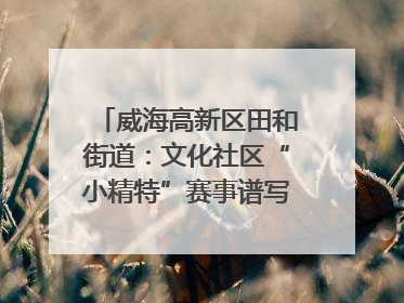 威海高新区田和街道：文化社区“小精特”赛事谱写文化赋能新乐章