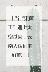当“果菌王”遇上太空基因，云南人认证的好吃！