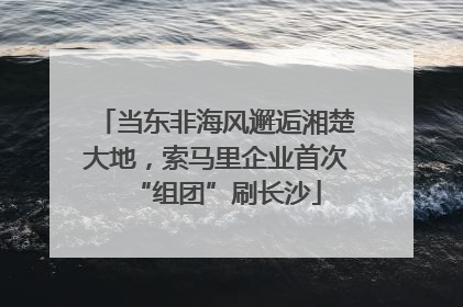 当东非海风邂逅湘楚大地，索马里企业首次“组团”刷长沙