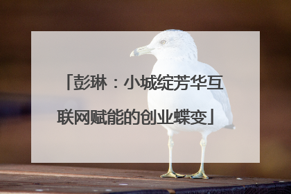 彭琳：小城绽芳华互联网赋能的创业蝶变