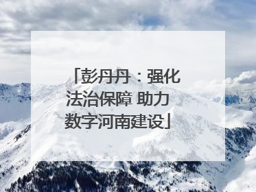 彭丹丹：强化法治保障 助力数字河南建设