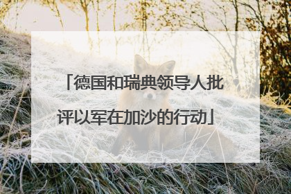 德国和瑞典领导人批评以军在加沙的行动