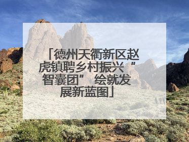 德州天衢新区赵虎镇聘乡村振兴“智囊团” 绘就发展新蓝图