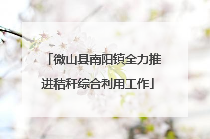 微山县南阳镇全力推进秸秆综合利用工作