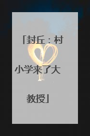 封丘：村小学来了大教授