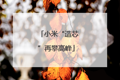 小米“造芯”再攀高峰