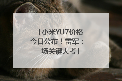 小米YU7价格今日公布！雷军：一场关键大考