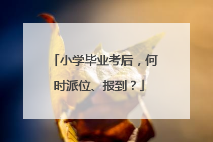 小学毕业考后，何时派位、报到？