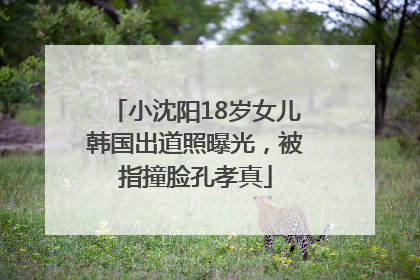 小沈阳18岁女儿韩国出道照曝光，被指撞脸孔孝真