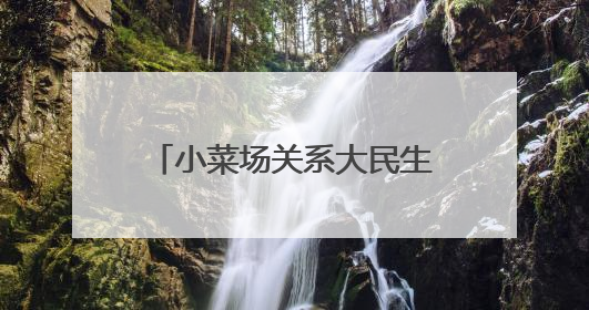 小菜场关系大民生！晨报小记者体验“小小市场监管员”
