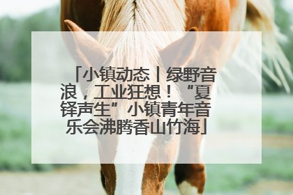 小镇动态丨绿野音浪，工业狂想！“夏铎声生”小镇青年音乐会沸腾香山竹海