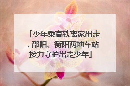 少年乘高铁离家出走，邵阳、衡阳两地车站接力守护出走少年