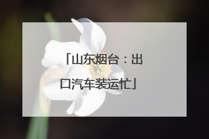 山东烟台：出口汽车装运忙