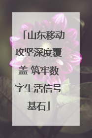 山东移动攻坚深度覆盖 筑牢数字生活信号基石