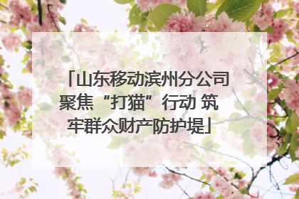 山东移动滨州分公司聚焦“打猫”行动 筑牢群众财产防护堤